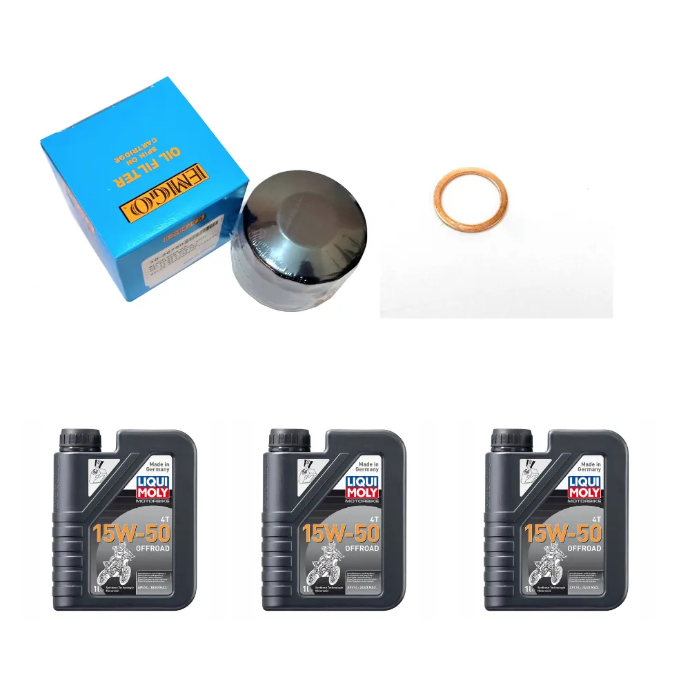Kit Mantencion Bmw F800gs, Aceite Motorbike 4T 15W-50 Offroad