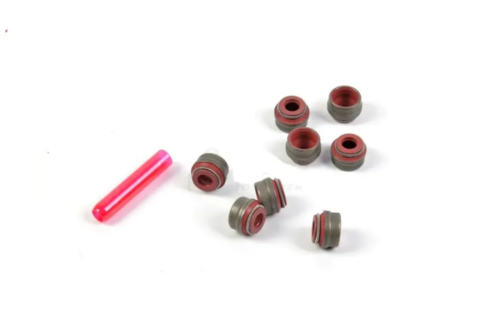 KIT DE REPARACIÓN DE ANILLO DE SELLO DE VÁLVULA