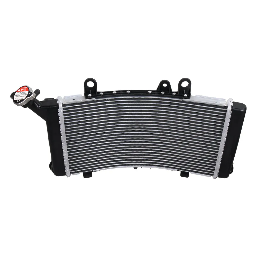 [17115B34FD4 AL] Radiador F850 F750 Original (AL)