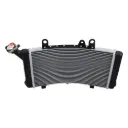 Radiador F850 F750 Original (AL)