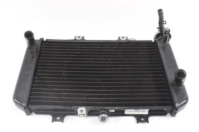 Radiador G310 (Desarme)