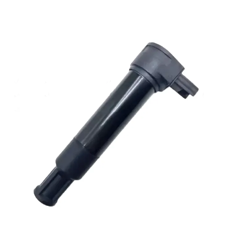 Bobina encendido R1200  (HighRS)